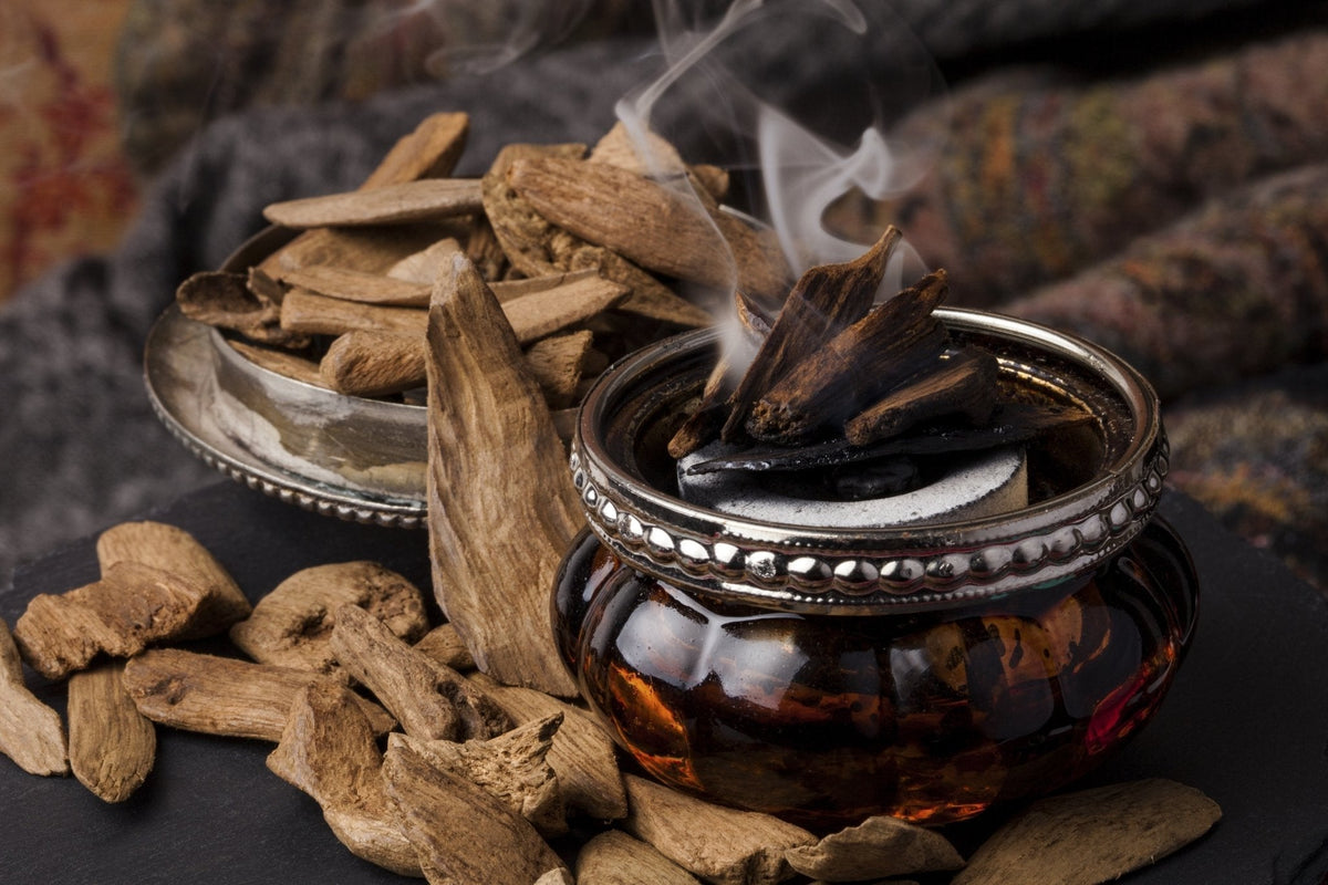 What Is Oud? The Complete Guide to Oud Wood & Oil